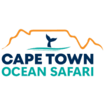 Cape Town Ocean Safari